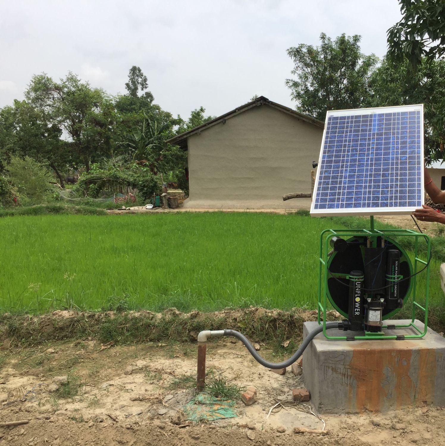 IOG Challenge 2021
