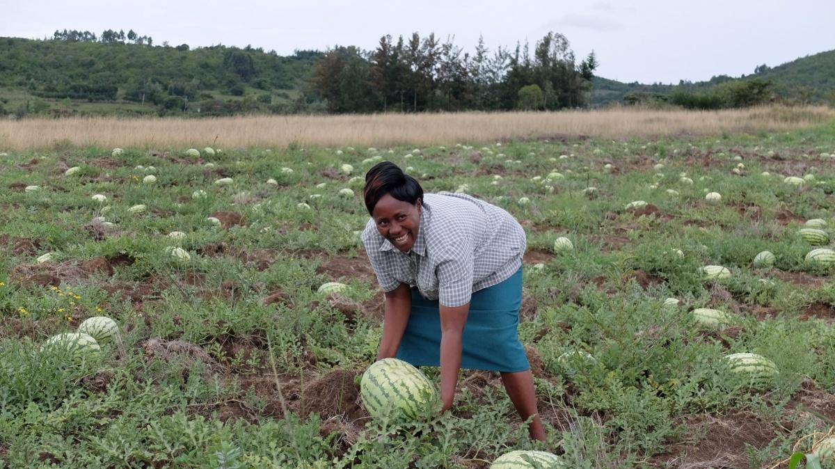 Zisternen für die Kleinbauern der Kooperative "Seeds of Life"