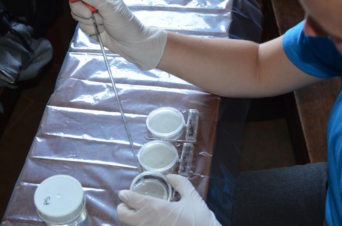 misombwater_mikrobiologische_untersuchung.jpg