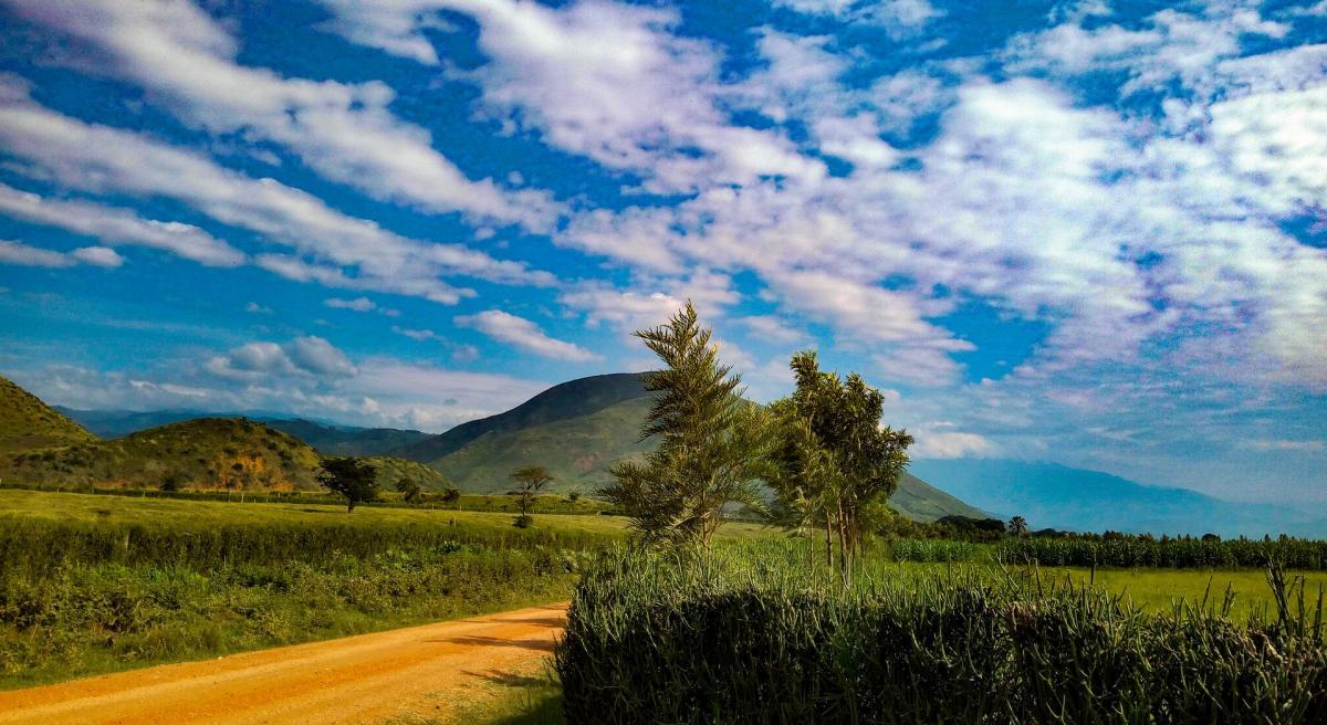 Landschaft Ugandas