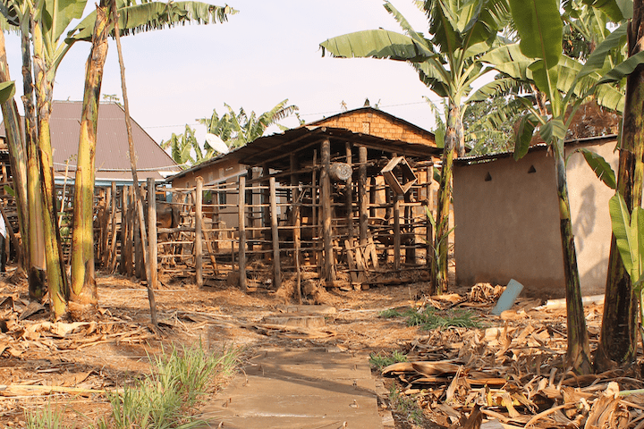 Biogas MAVUNO