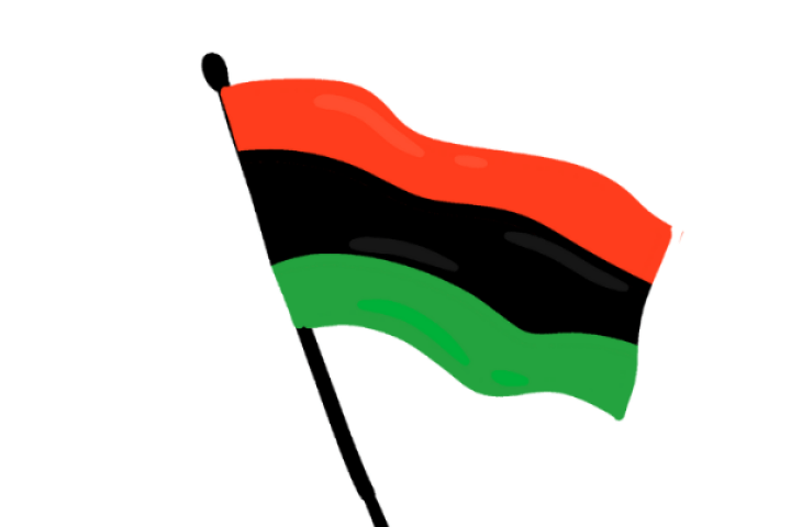 Black History Flag
