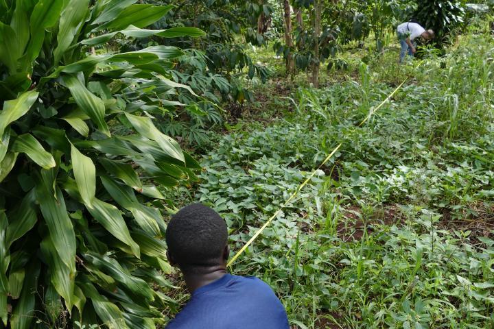 Teaser Uganda Seoni