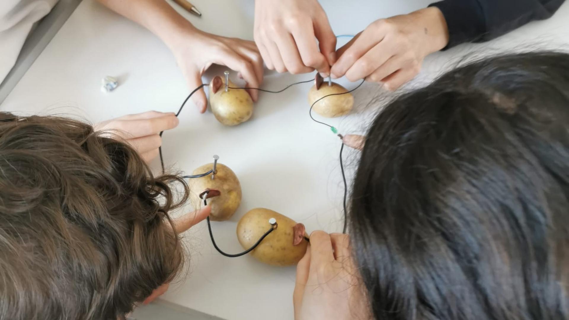 Kinder bauen eine Kartoffelbatterie