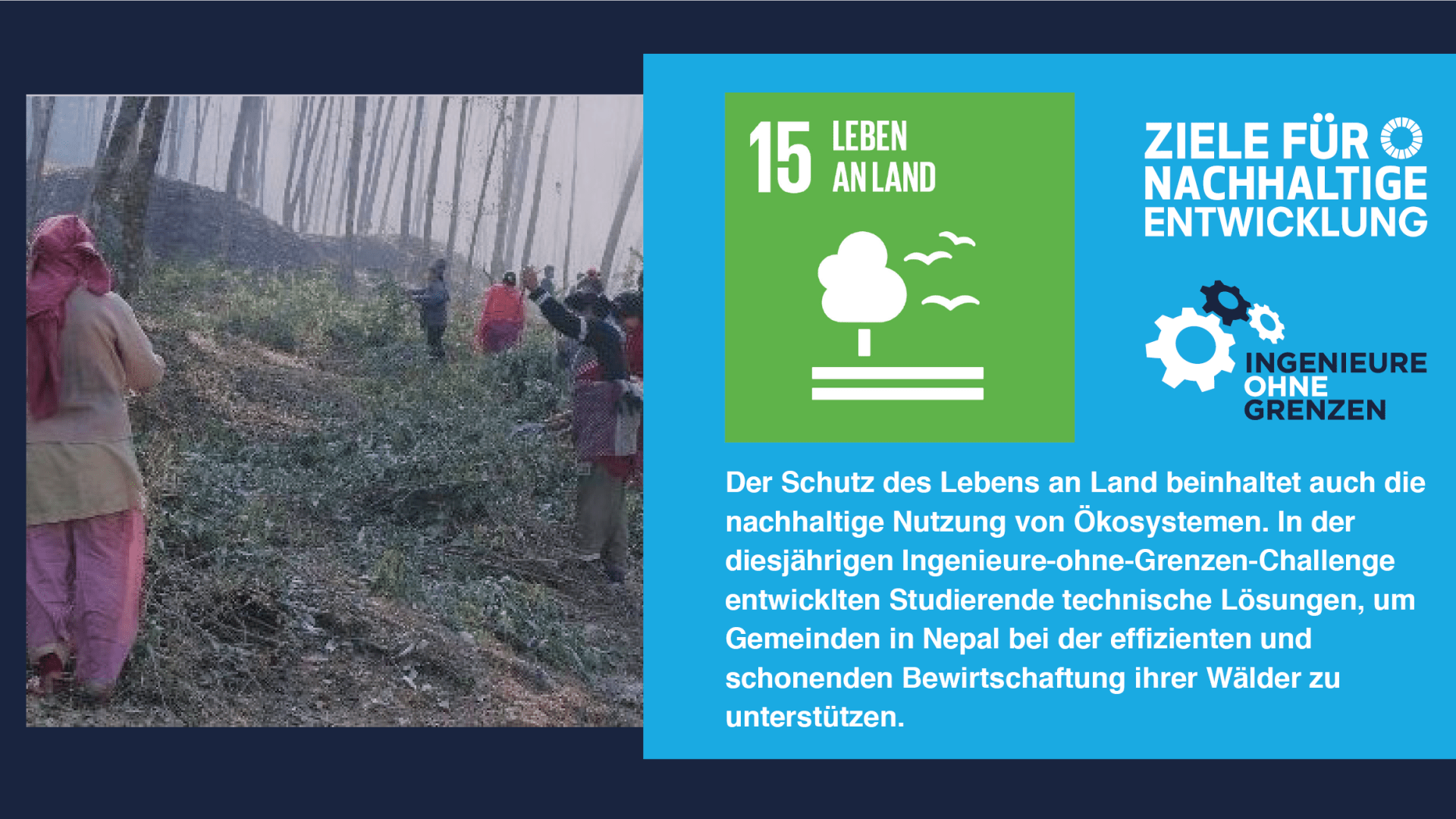 Nachhaltigkeitsziel 15: Leben an Land 2