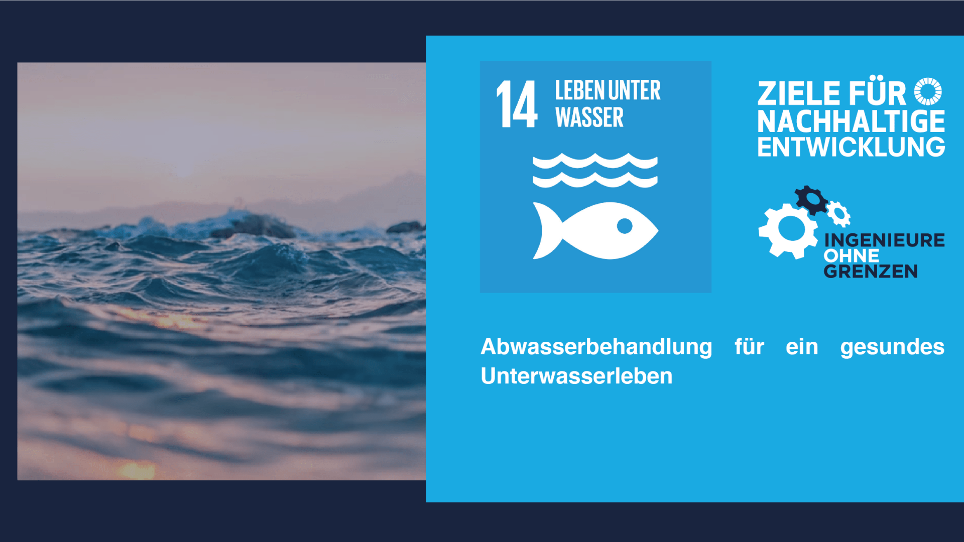 Nachhaltigkeitsziel 14: Leben unter Wasser 2