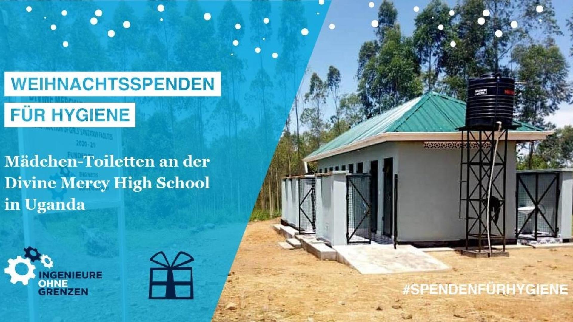 Weihnachtskampagne Divine Mercy 2